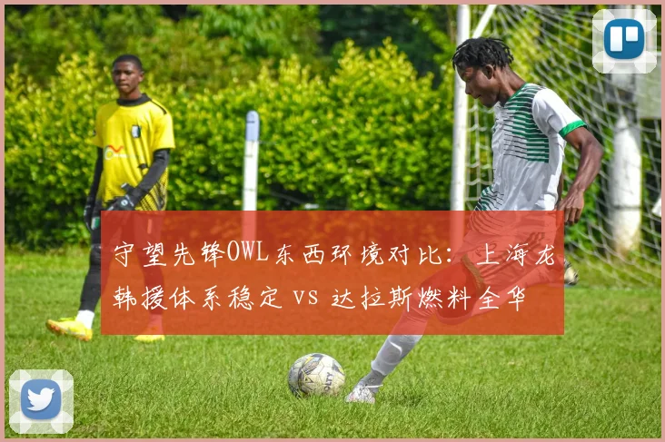 守望先锋OWL东西环境对比：上海龙韩援体系稳定 vs 达拉斯燃料全华班挣扎